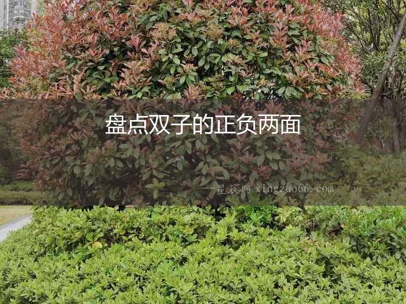 盤點雙子的正負兩面