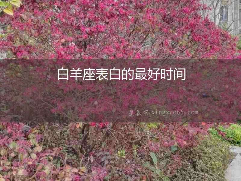 白羊座表白的最好時間
