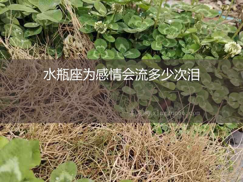 水瓶座為感情會流多少次淚