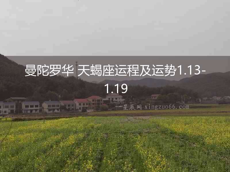 曼陀羅華 天蝎座運(yùn)程及運(yùn)勢(shì)1.13-1.19