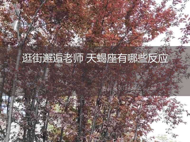 逛街邂逅老師 天蝎座有哪些反應