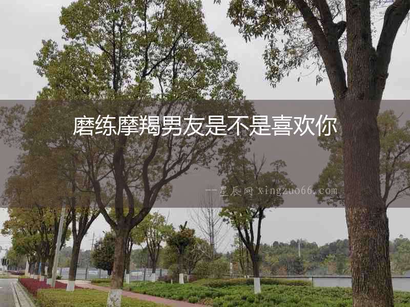磨練摩羯男友是不是喜歡你