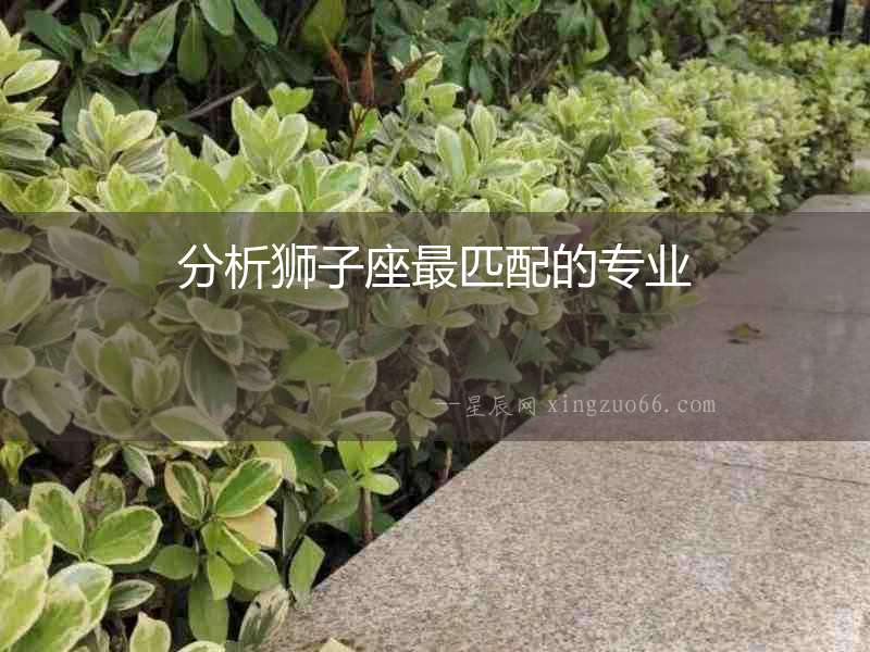 分析獅子座最匹配的專業