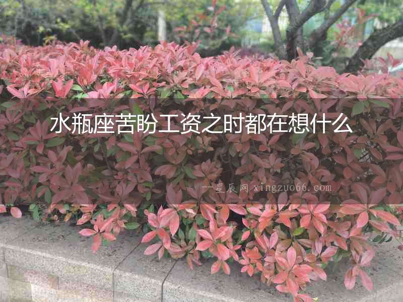 水瓶座苦盼工資之時都在想什么