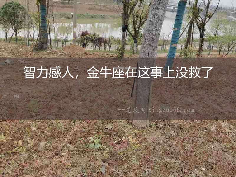 智力感人，金牛座在這事上沒救了