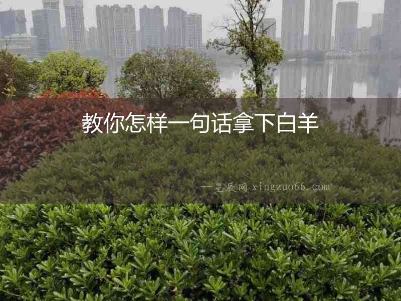 教你怎樣一句話拿下白羊