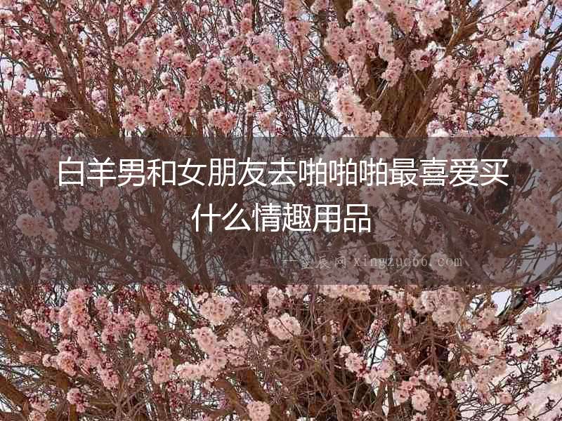 白羊男和女朋友去啪啪啪最喜愛買什么情趣用品