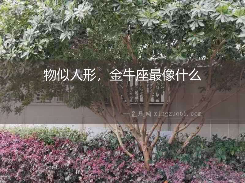 物似人形，金牛座最像什么