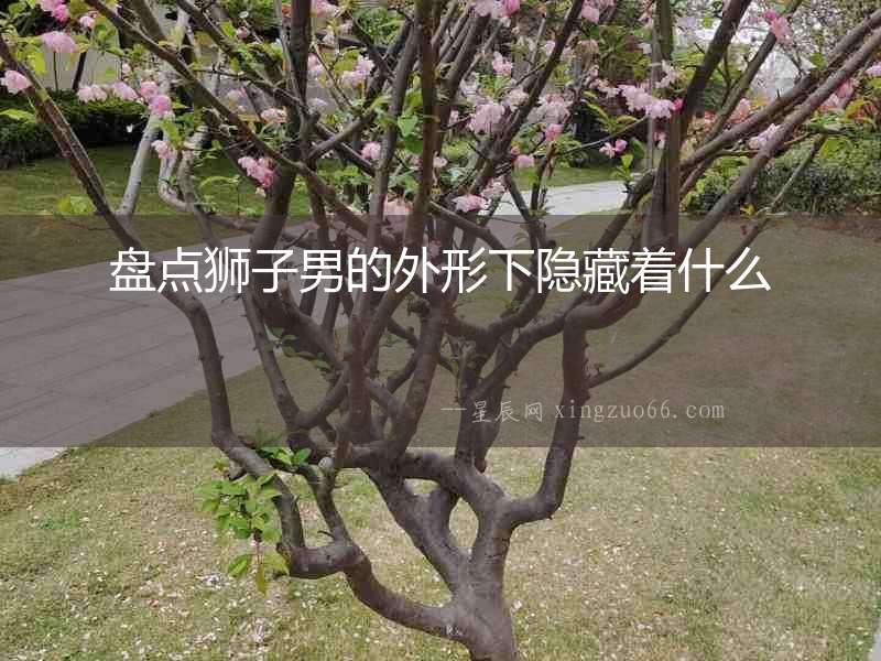 盤點獅子男的外形下隱藏著什么