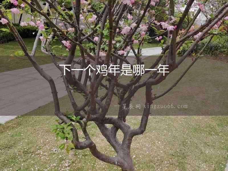 下一個雞年是哪一年