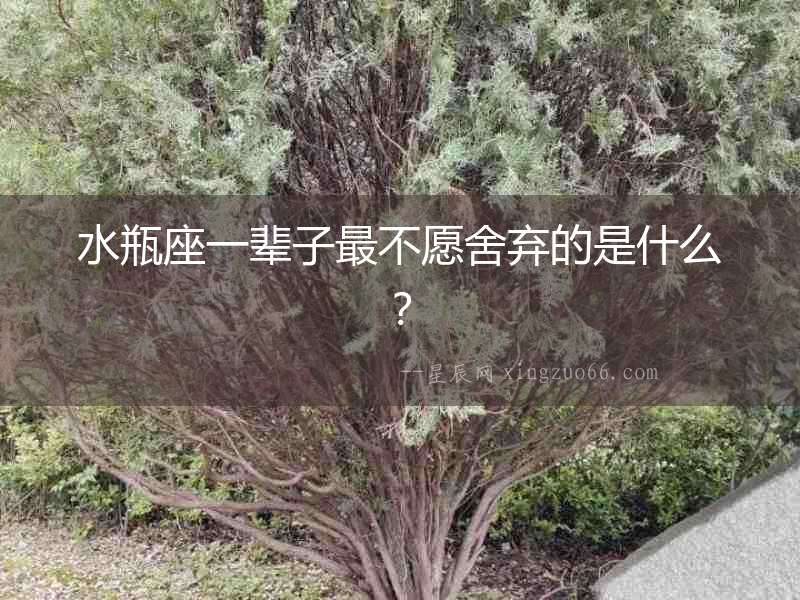水瓶座一輩子最不愿舍棄的是什么？