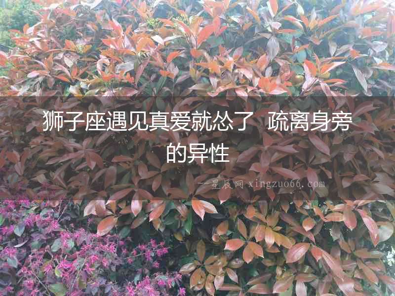獅子座遇見真愛就慫了  疏離身旁的異性