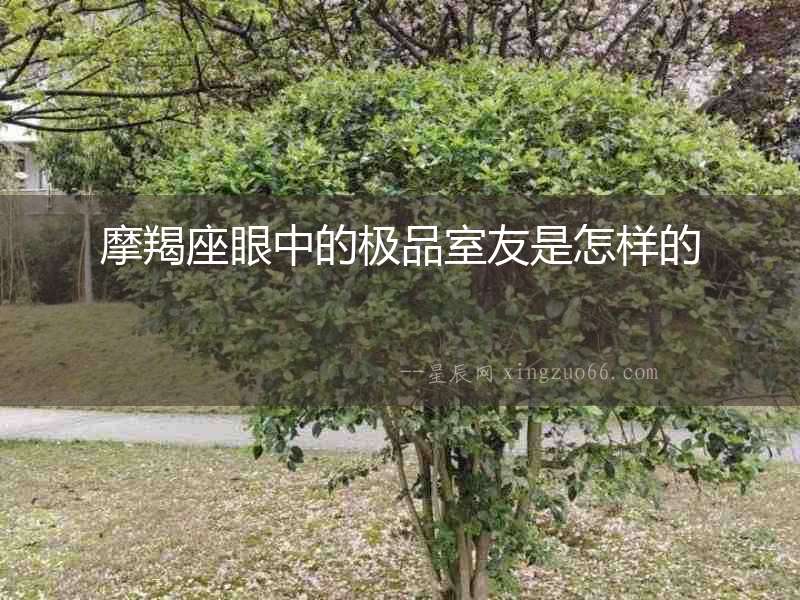 摩羯座眼中的極品室友是怎樣的