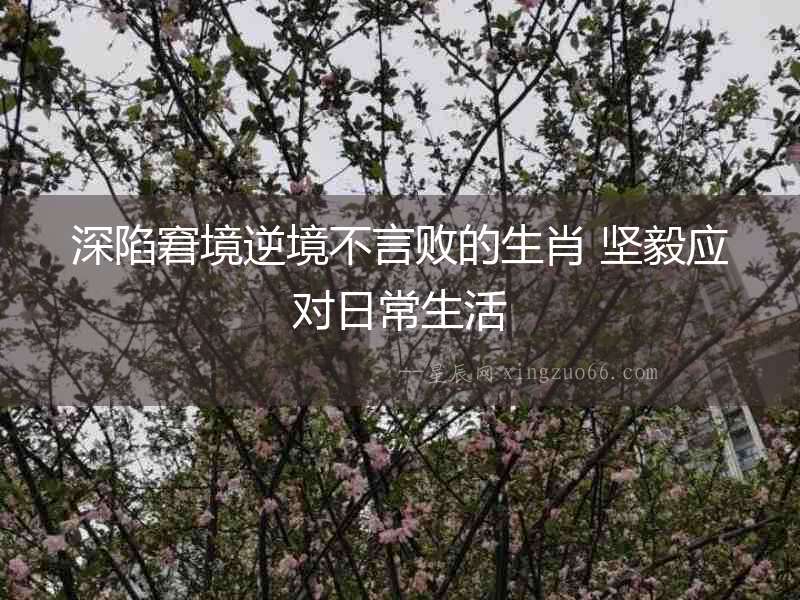 深陷窘境逆境不言敗的生肖 堅毅應對日常生活