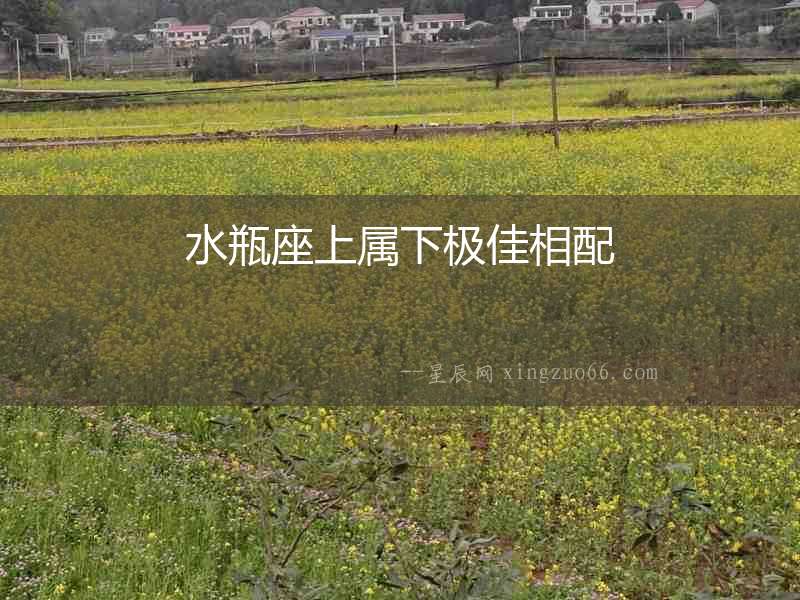 水瓶座上屬下極佳相配