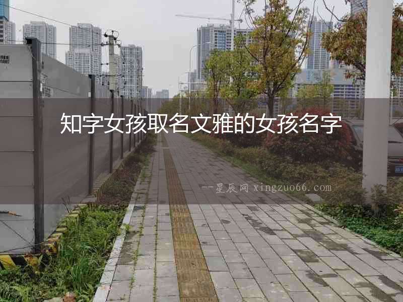 知字女孩取名文雅的女孩名字