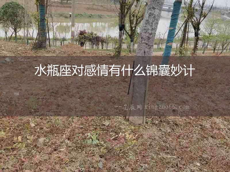 水瓶座對感情有什么錦囊妙計