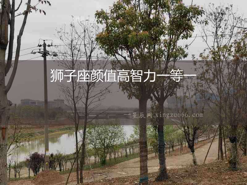 獅子座顏值高智力一等一