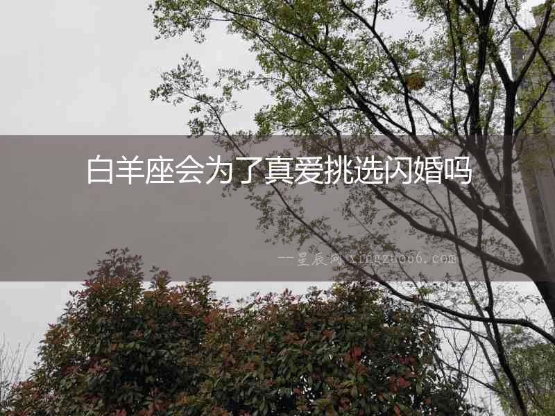 白羊座會為了真愛挑選閃婚嗎