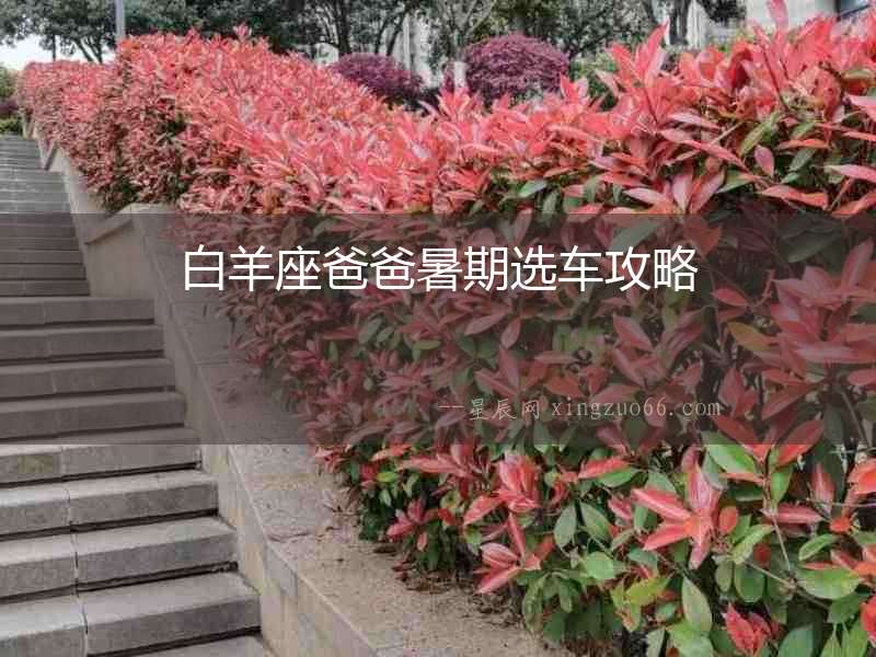 白羊座爸爸暑期選車攻略