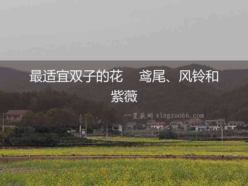 最適宜雙子的花    鳶尾、風鈴和紫薇