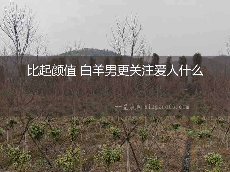 比起顏值 白羊男更關注愛人什么