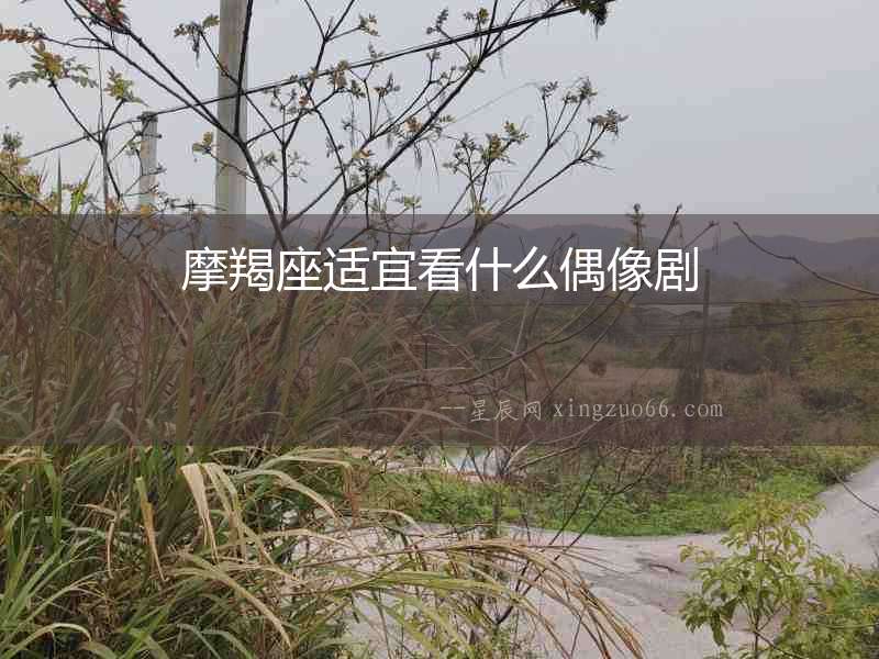 摩羯座適宜看什么偶像劇