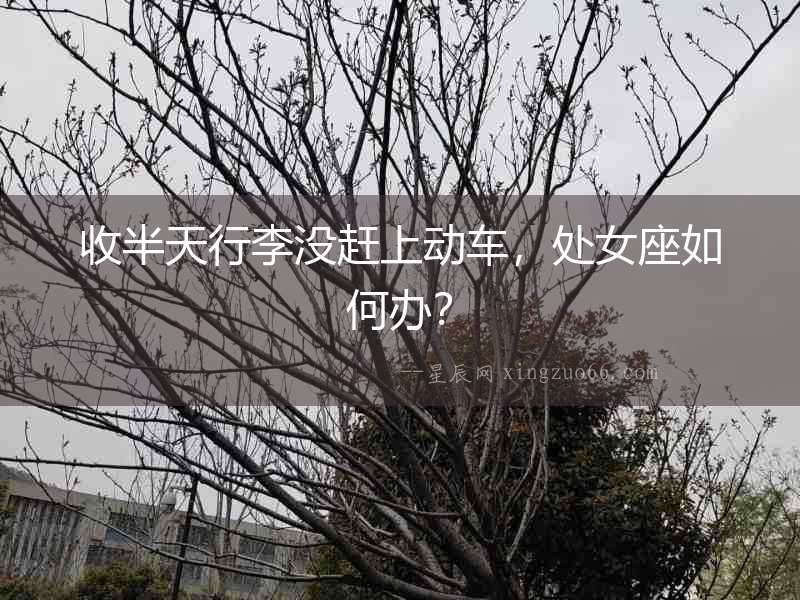 收半天行李沒趕上動車，處女座如何辦？