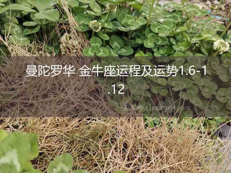 曼陀羅華 金牛座運(yùn)程及運(yùn)勢(shì)1.6-1.12
