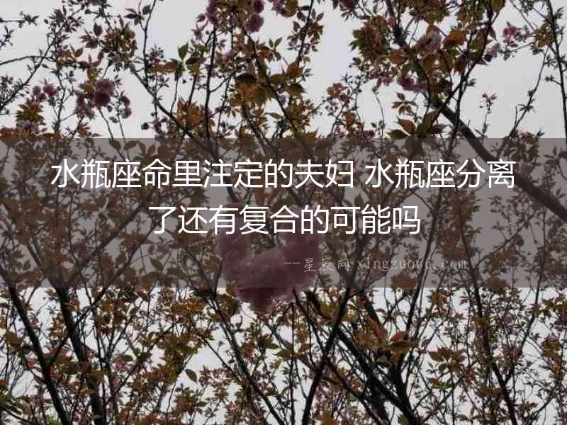 水瓶座命里注定的夫婦 水瓶座分離了還有復合的可能嗎