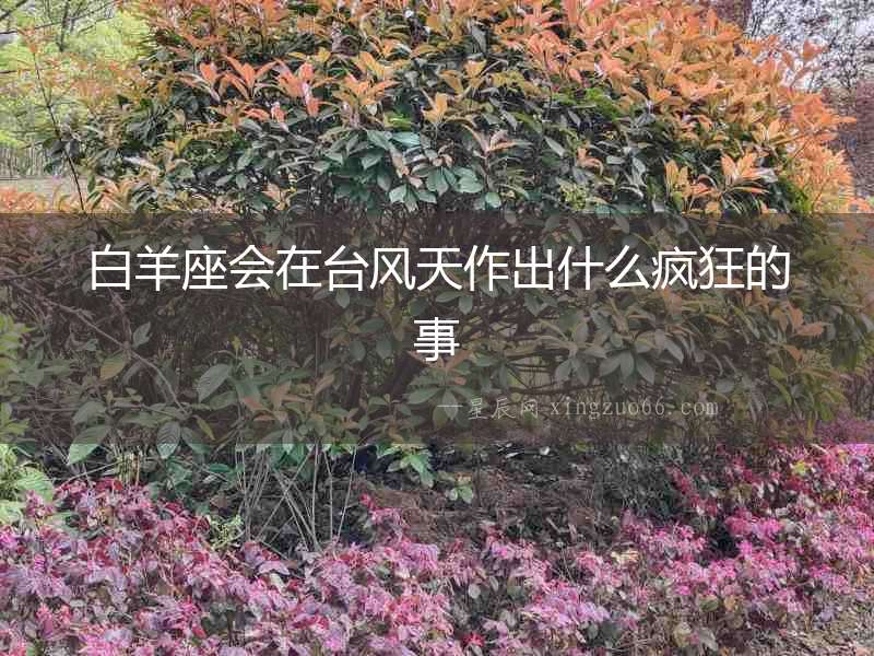 白羊座會在臺風(fēng)天作出什么瘋狂的事