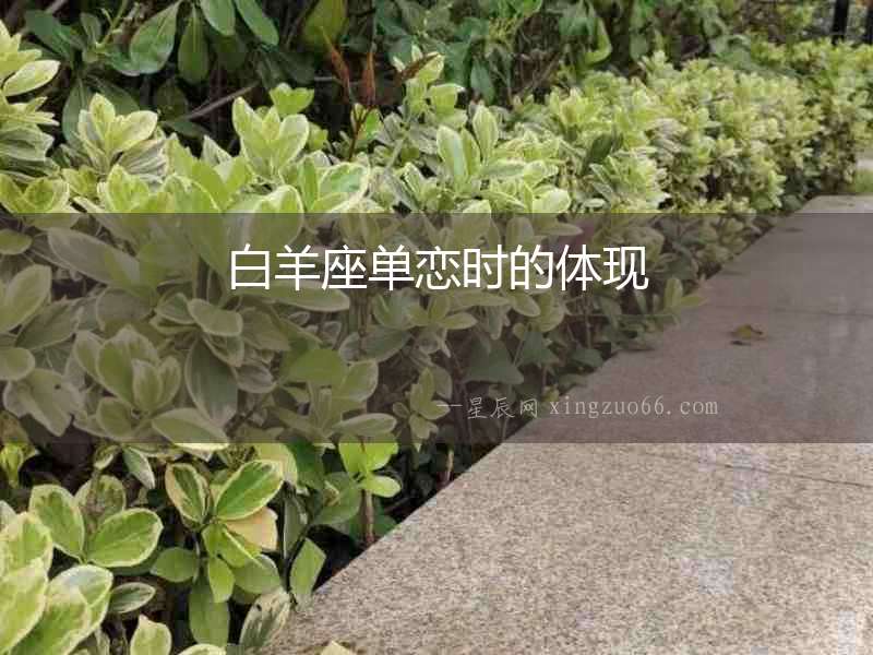 白羊座單戀時的體現(xiàn)