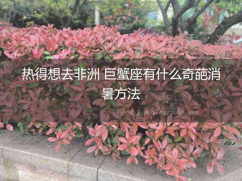 熱得想去非洲 巨蟹座有什么奇葩消暑方法