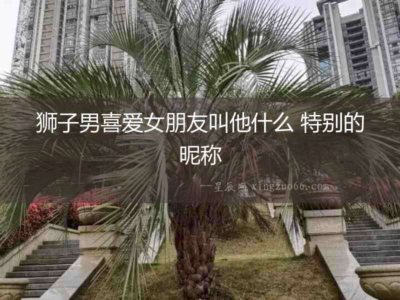 獅子男喜愛女朋友叫他什么 特別的昵稱