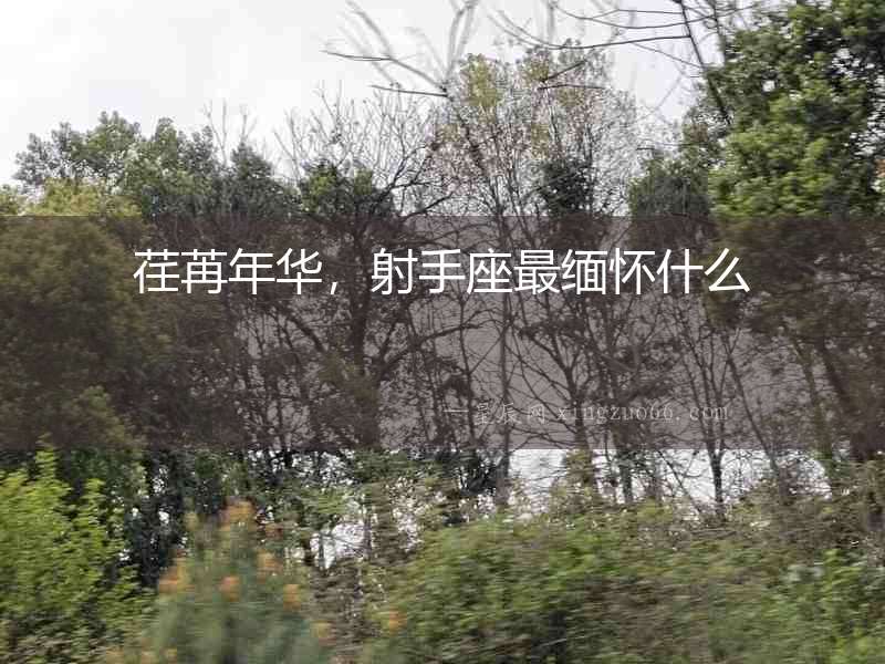 荏苒年華，射手座最緬懷什么