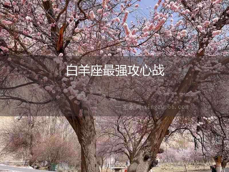 白羊座最強攻心戰