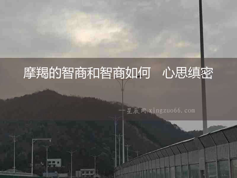 摩羯的智商和智商如何   心思縝密