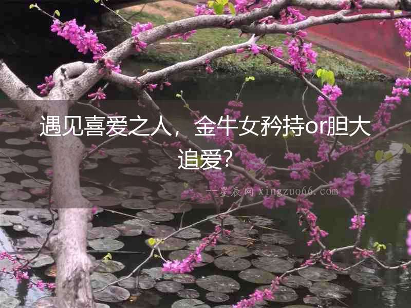 遇見喜愛之人，金牛女矜持or膽大追愛？