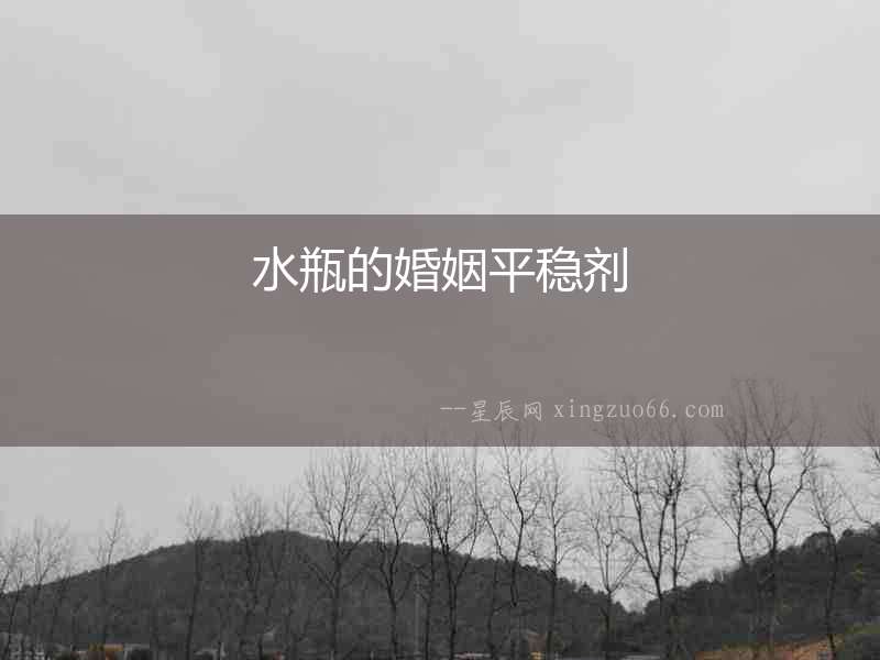 水瓶的婚姻平穩(wěn)劑