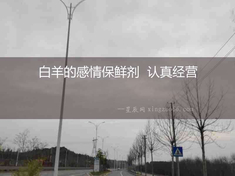 白羊的感情保鮮劑  認真經營