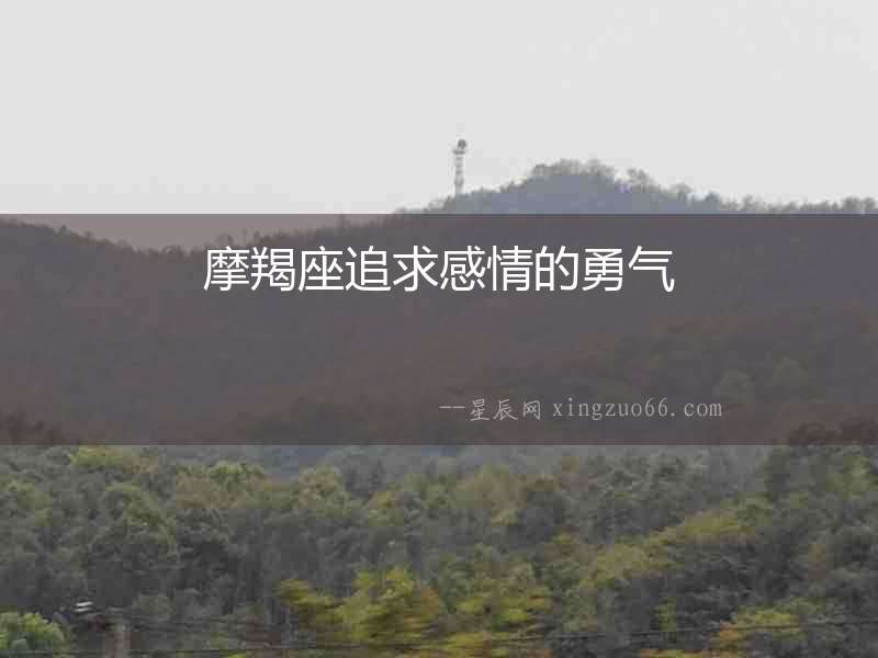 摩羯座追求感情的勇氣