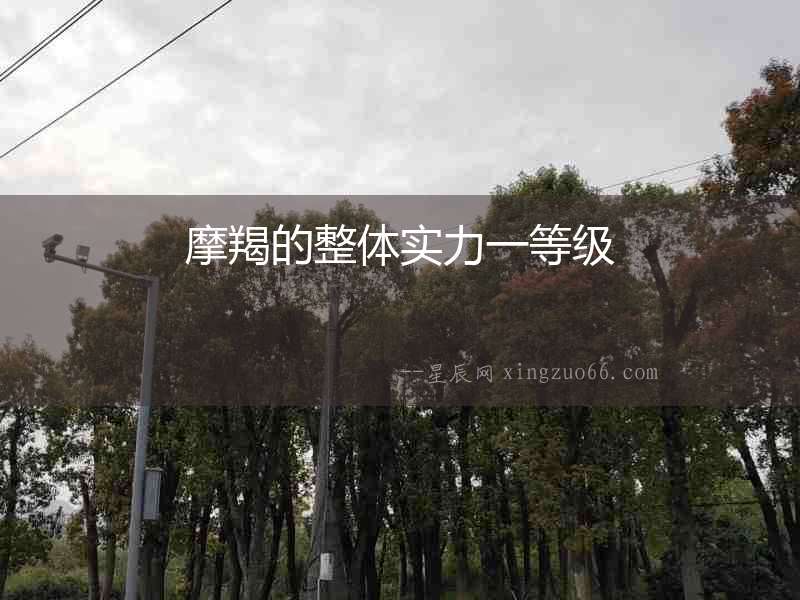 摩羯的整體實力一等級