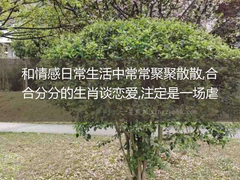 和情感日常生活中常常聚聚散散,合合分分的生肖談戀愛,注定是一場虐心戀!