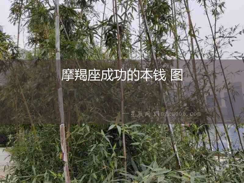 摩羯座成功的本錢 圖