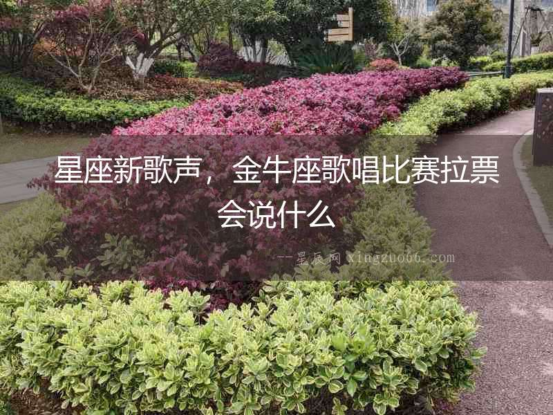 星座新歌聲，金牛座歌唱比賽拉票會說什么