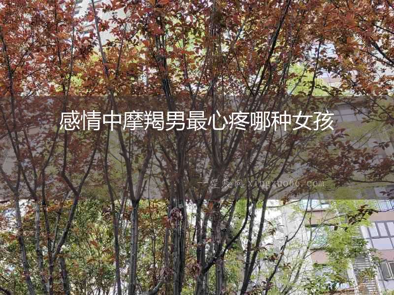 感情中摩羯男最心疼哪種女孩