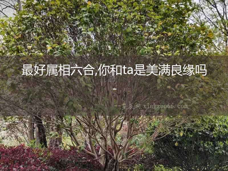 最好屬相六合,你和ta是美滿良緣嗎-