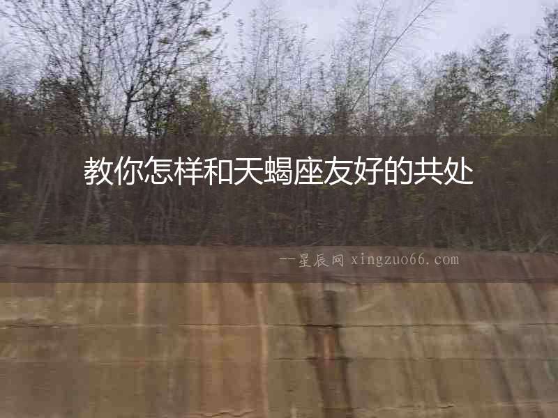 教你怎樣和天蝎座友好的共處