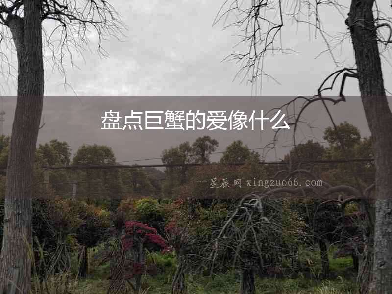 盤點巨蟹的愛像什么