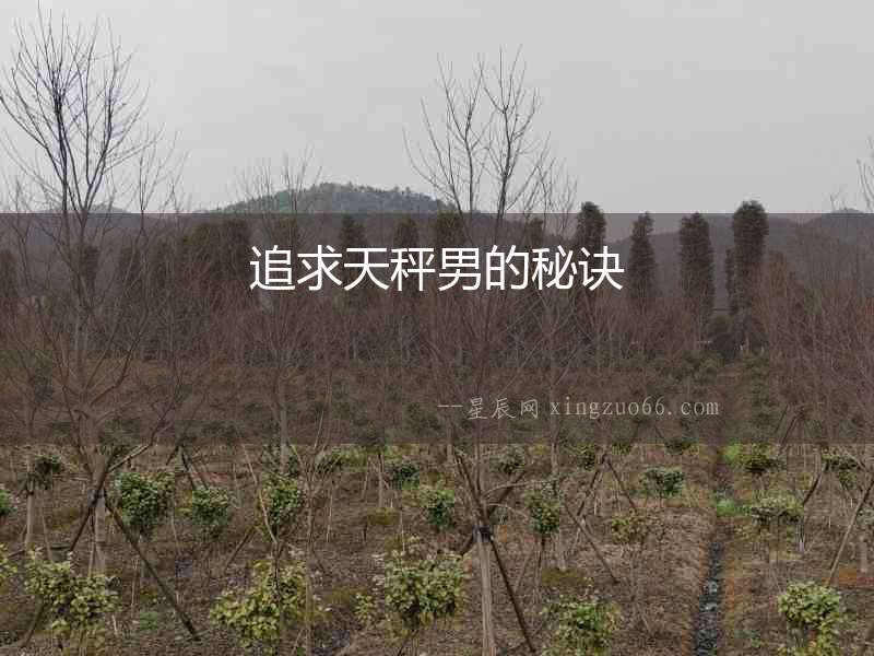 追求天秤男的秘訣